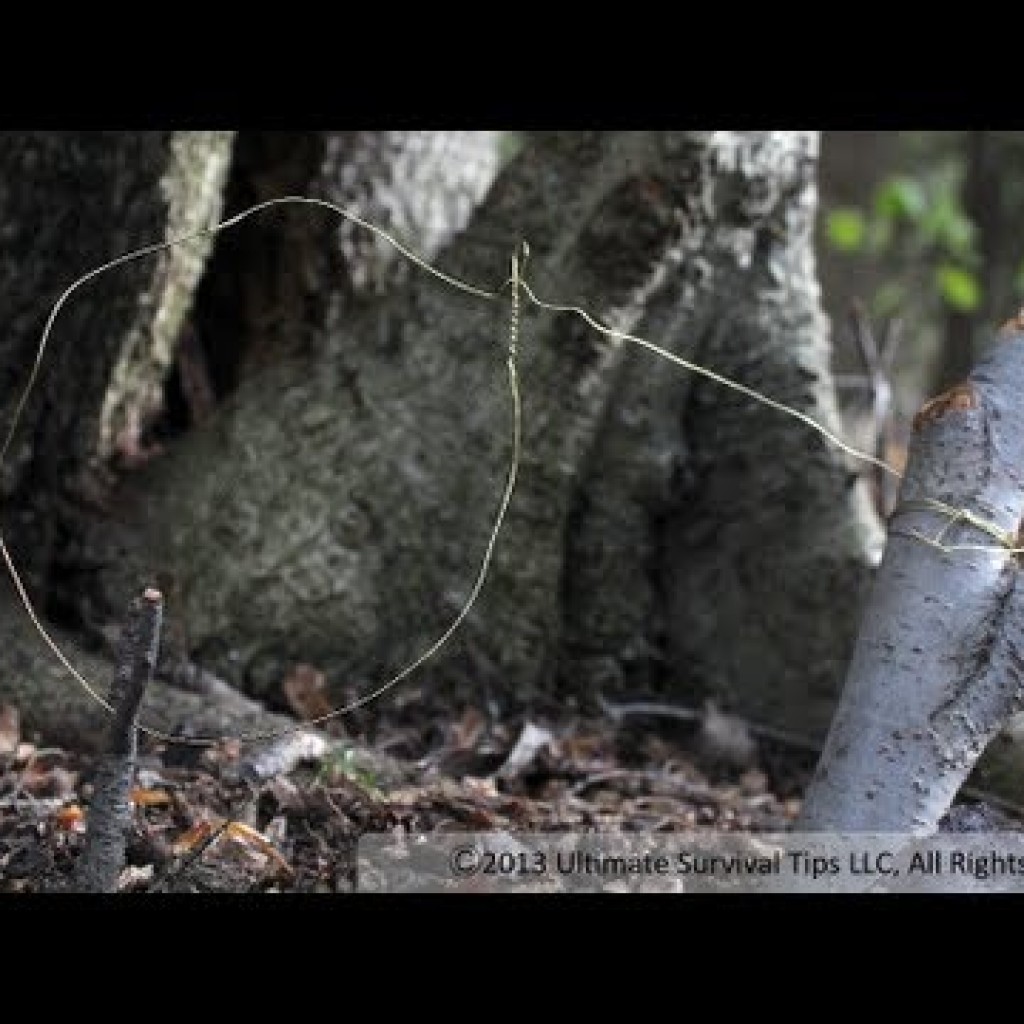 Survival Hunting 3 Simple Traps and Snares Sasi Online