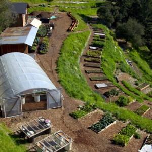 Farm-Garden-At-The-Homestead