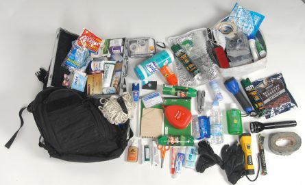 Pros and Cons of Packing a Firearm in Your Bug Out Bag