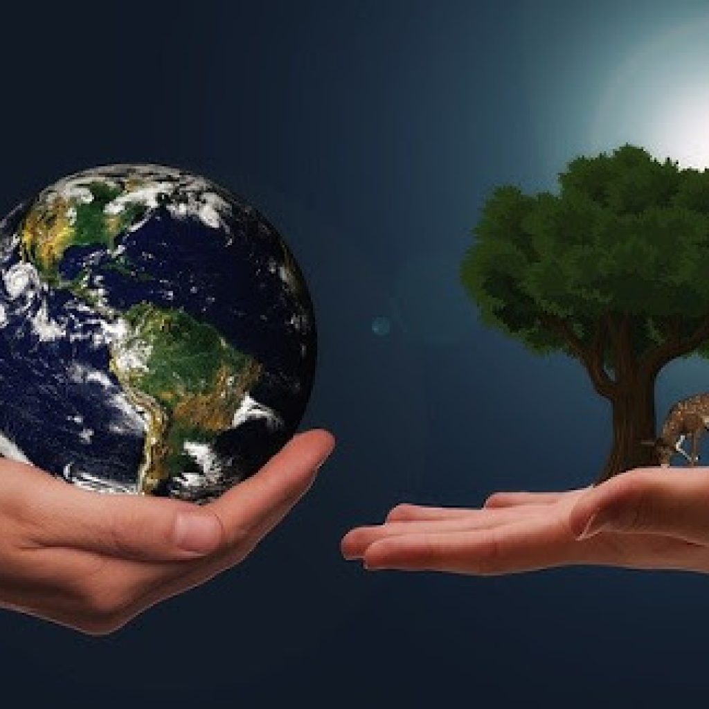 living earth naturals living earth naturals