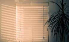 Bring in Light & Save on Energy Costs with New Window Blinds