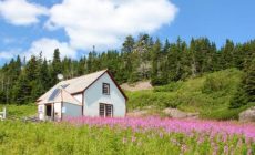 Choosing the Best Homesteading Land in Oregon